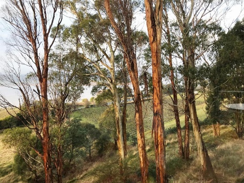 Tamar River Apartments image 23